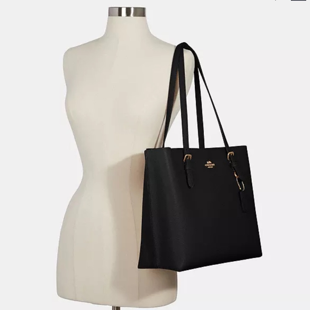 Coach Mollie Leather Tote Bag